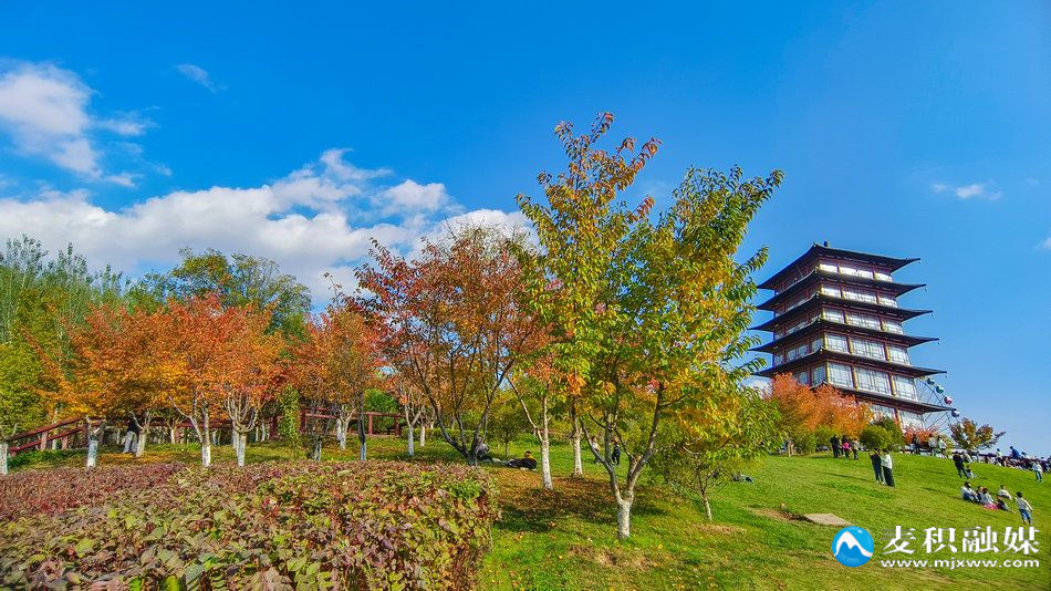 IMG_20251025_1527261