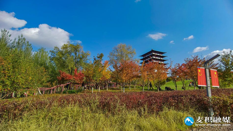 IMG_20251025_1524541