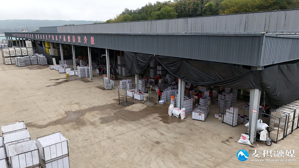 微信图片_20251025235511