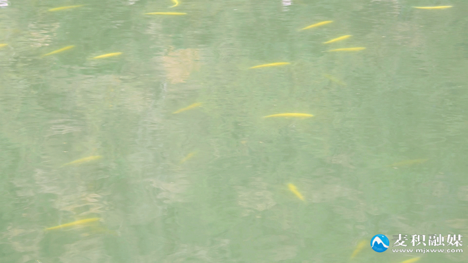 微信图片_20251117113125_23_8