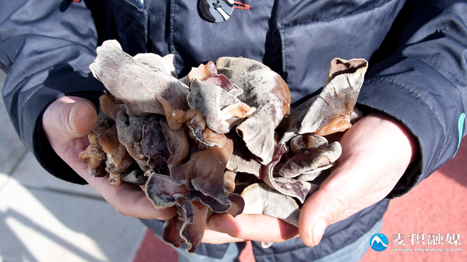 微信图片_20251117113118_21_8