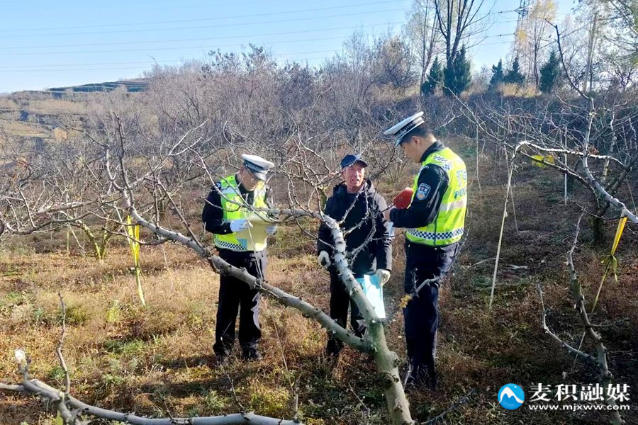 微信图片_20251117153531_50_236