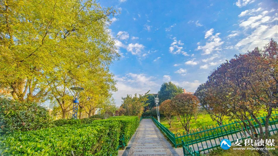 IMG_20251113_1627231