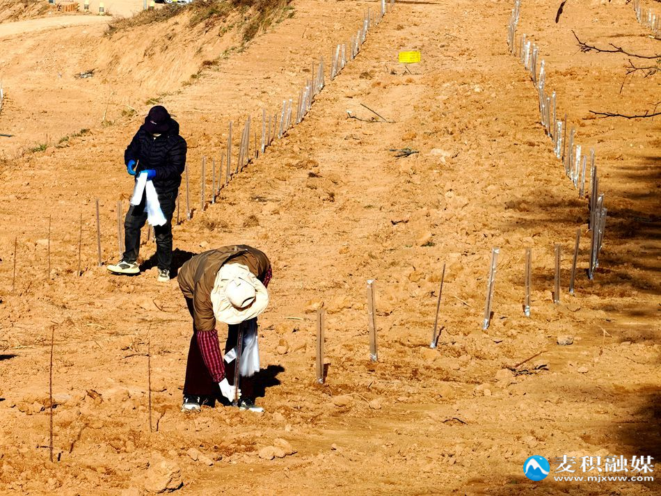 6a6def7ddeea377d6c54418a3c604eee