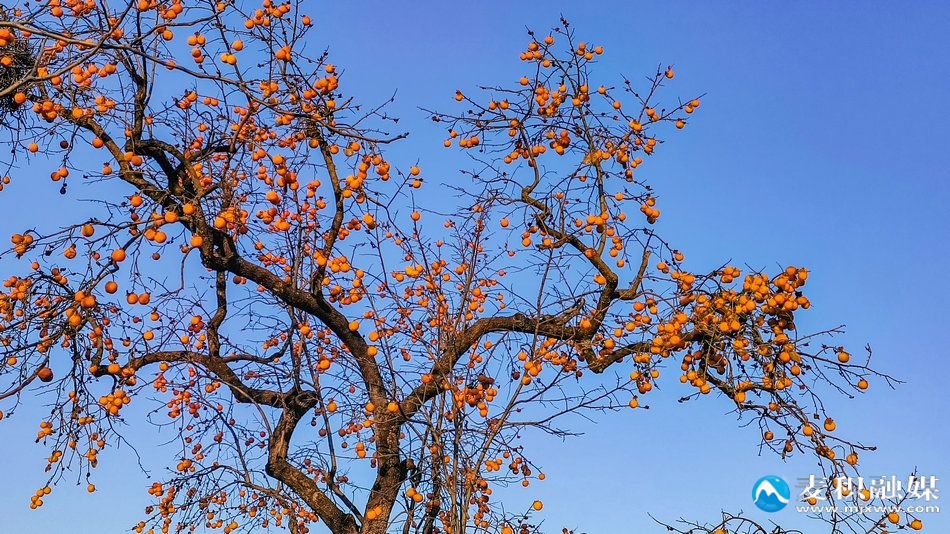 IMG_20251118_1716441