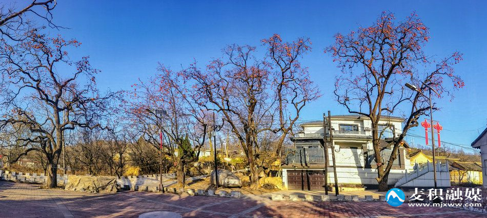 IMG_20251202_1558471