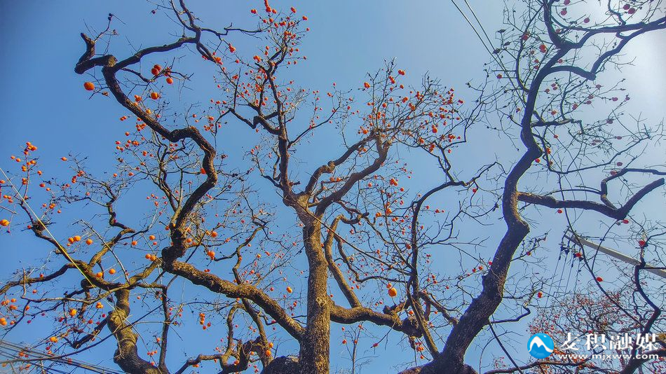 IMG_20251202_1606231