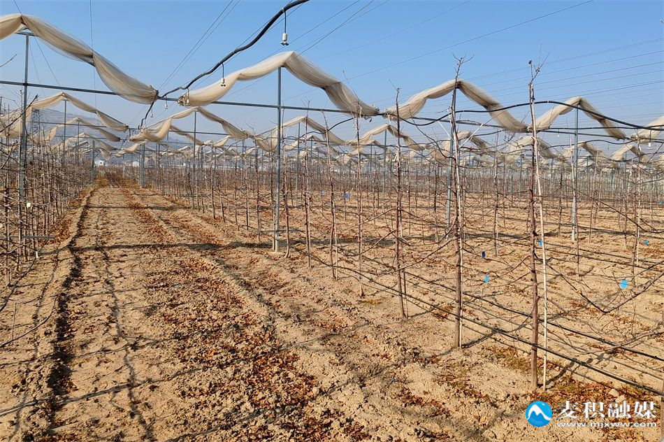 微信图片_20260123095756_10_1609