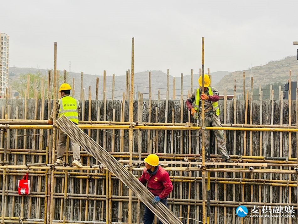 微信图片_20260319170542_409_10