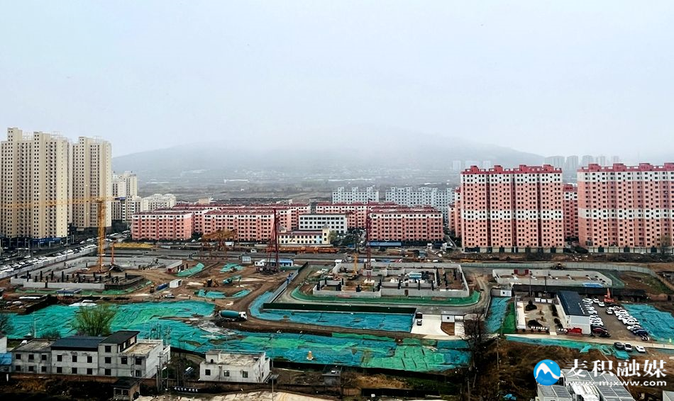 微信图片_20260319165933_384_10