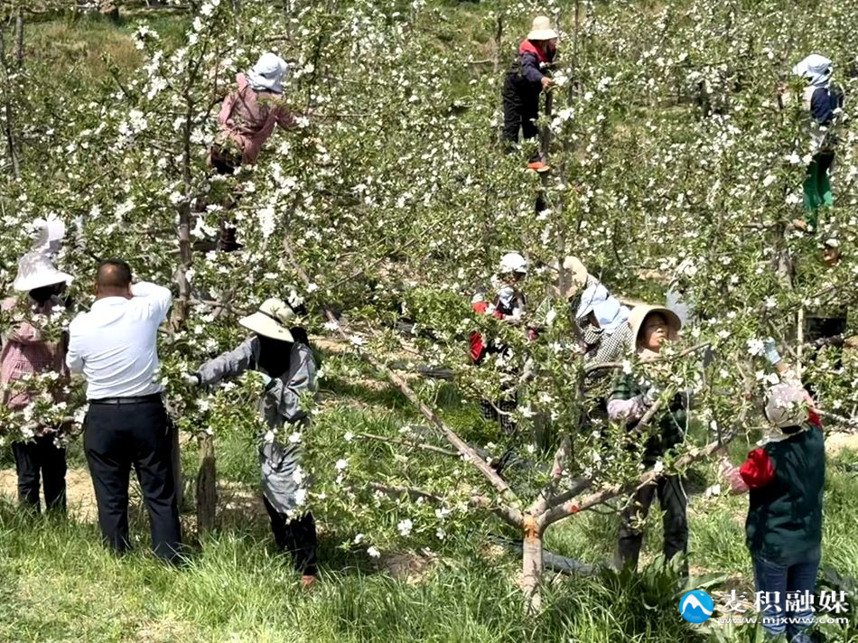 微信图片_20260414235436_500_6