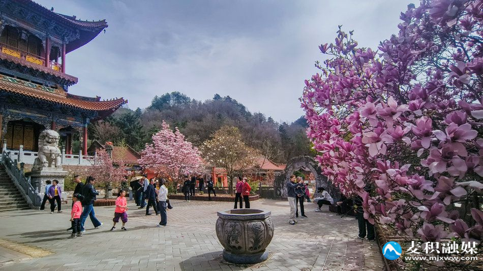 IMG_20260406_1522391