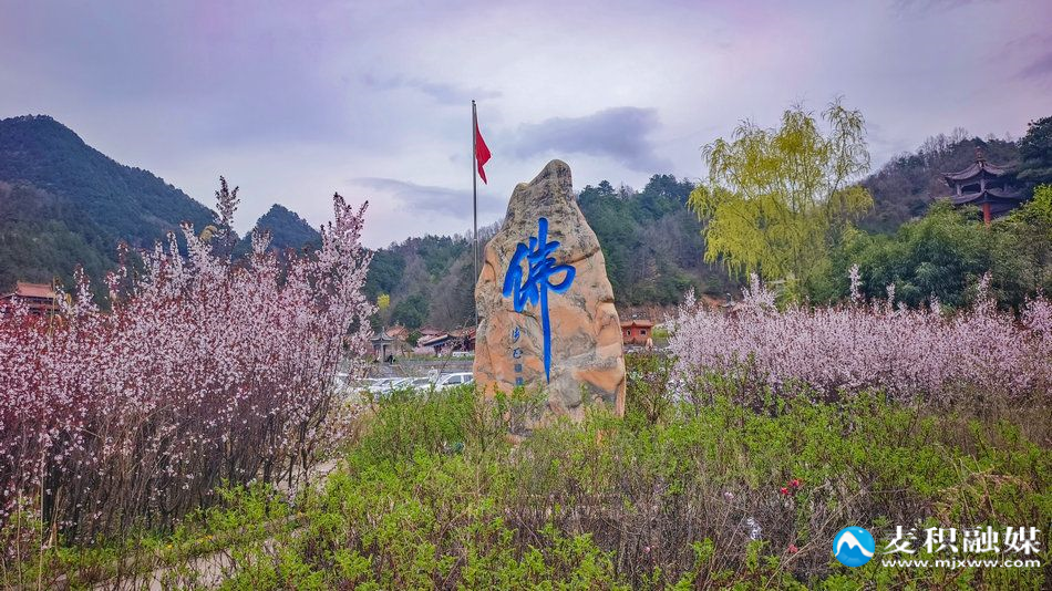 IMG_20260406_1303011