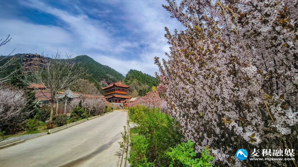 IMG_20260406_1422301