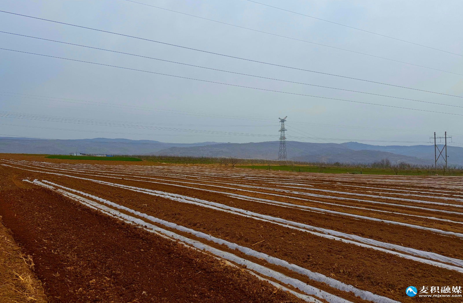 WechatIMG4184111 WechatIMG4184111