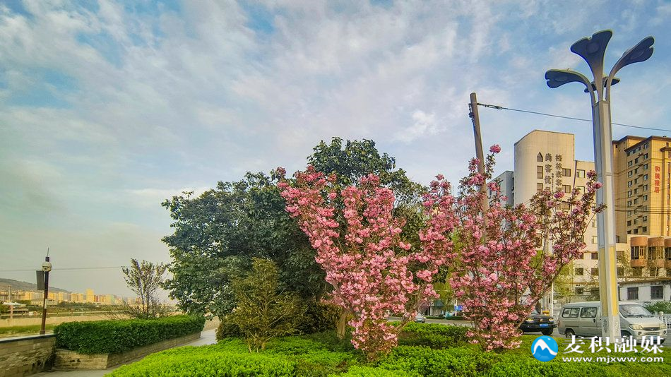 IMG_20260409_1853431