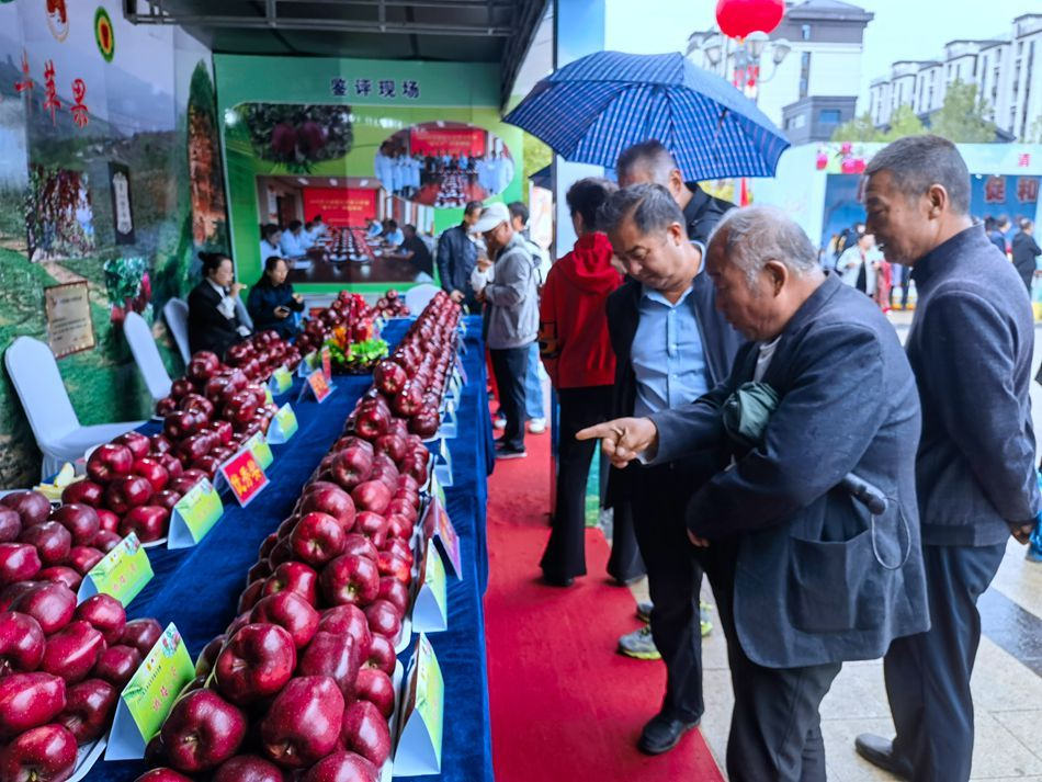 微信图片_20230923115151