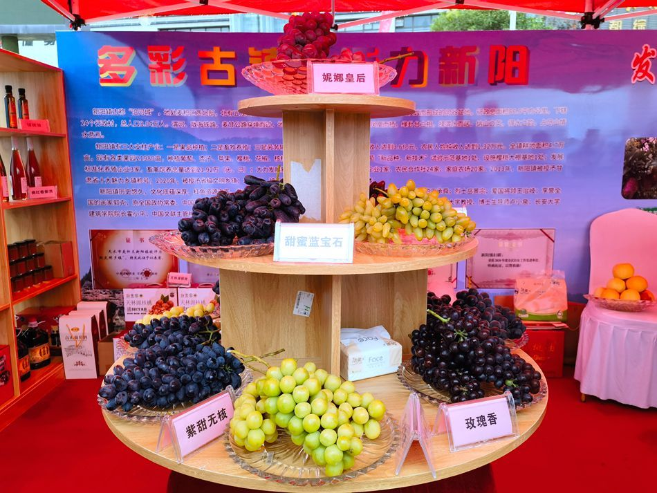 微信图片_20230923115212