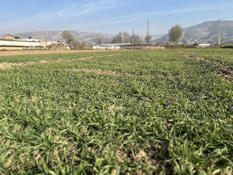 e8152613b7a8196c19155044aac8663