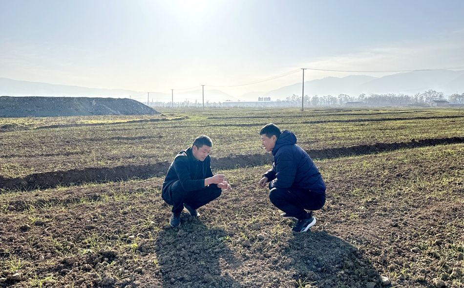 e1f4575a00784a137dfe6447dd40e2b