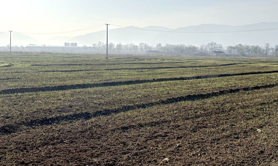 5125b3117170f327cede373b0f4ff0a