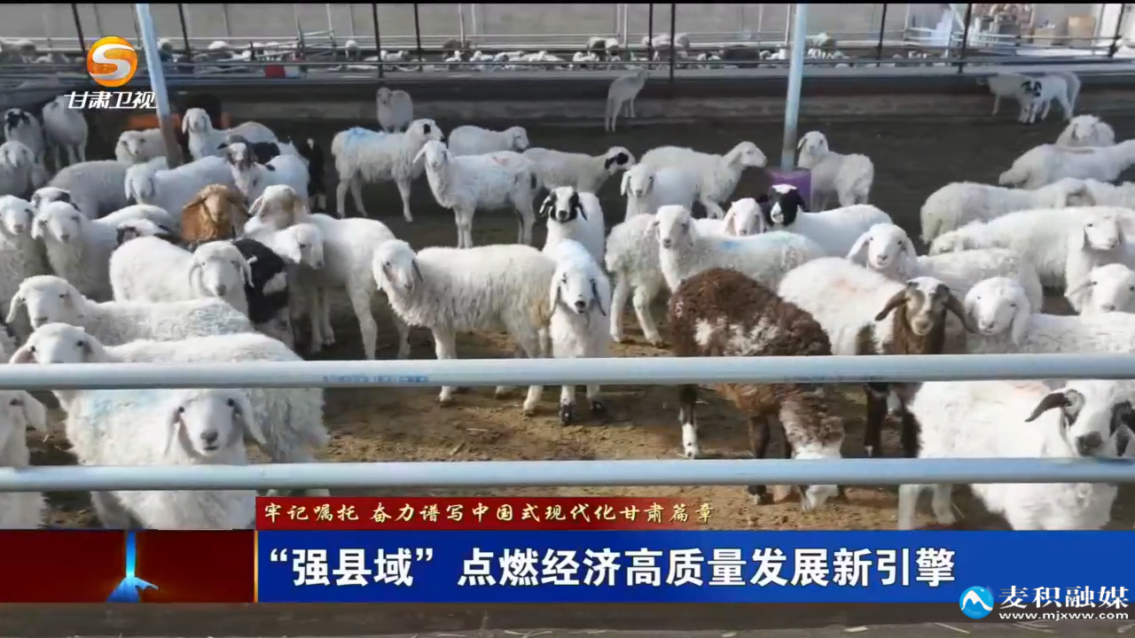 复制图片